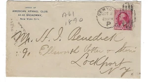 1891 New York to Lockport NY, Advertising, American Kennel Club, Dogs - Picture 1 of 2