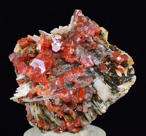 ESPECIMEN MINERAL EN MINIATURA DE 3,6 cm VANADINITA CRISTAL BARITA MIBLADEN MARRUECOS WB21 - Imagen 1 de 11