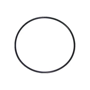 FROG LID / CAP O-RING (KING TECHNOLOGY - 01-22-9922) - Picture 1 of 1