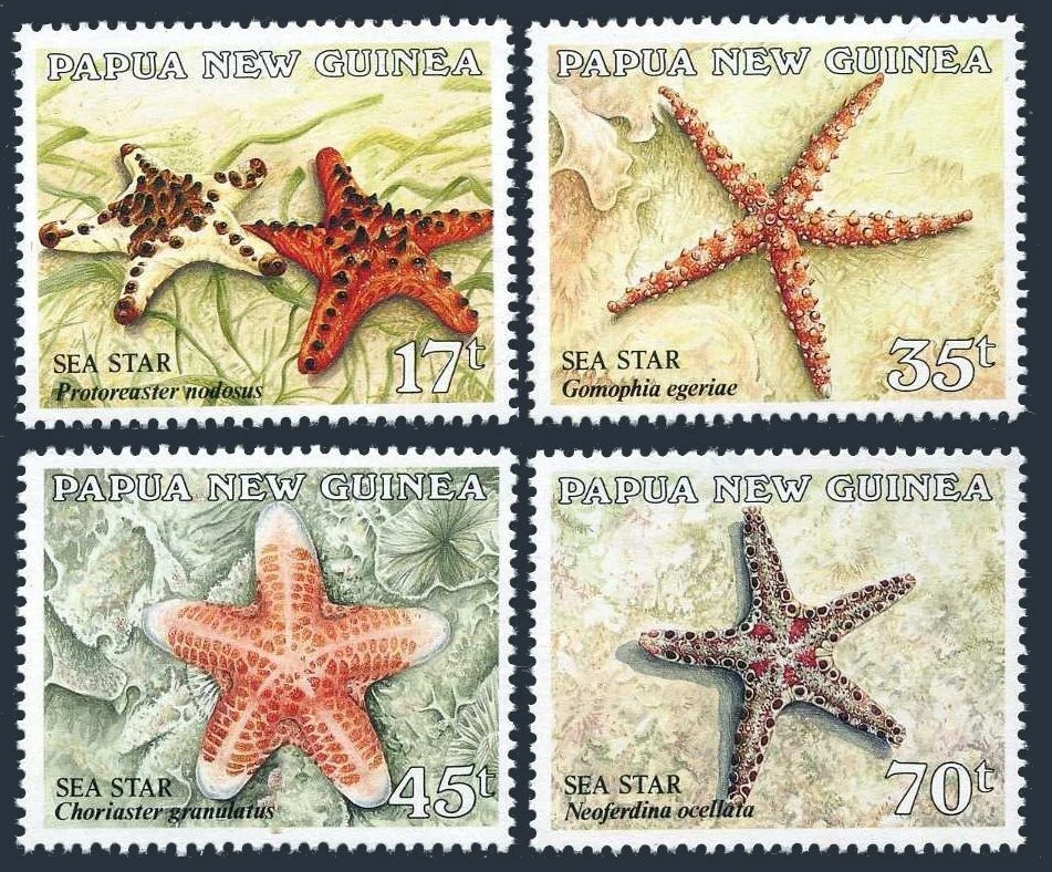 Papua New Guinea 682-685, MNH. Michel 553-556. Starfish 1987. - Image 1 of 1