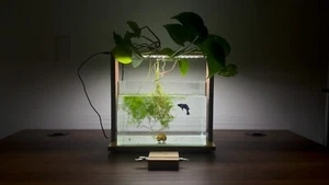 SEOUL: Artisan Handmade Designer Platform for Aquarium / Terrarium - Picture 1 of 6