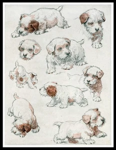 SEALYHAM TERRIER PUPPY POSES LOVELY VINTAGE STYLE DOG ART PRINT POSTER - Picture 1 of 1