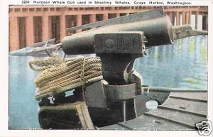 Postcard Whale Harpoon Grays Harbor Washington State ca 1920s MINT - Picture 1 of 1