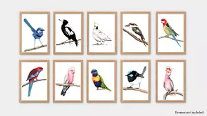 Set of 10 Watercolour Native Australian Bird Prints - Picture 1 of 11