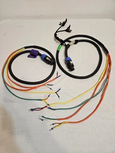 PAR de cable Neutrik Speakon calibre 8 13 a romo 6' - Imagen 1 de 11
