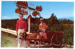 Tarjeta postal rural GASPÉ Quebec Canadá niños con carro para perros oferta botes de recuerdo - Imagen 1 de 2