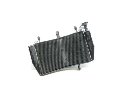 Radiador de refrigeración 15 Ducati Monster 1200 S Foto 1 de 4