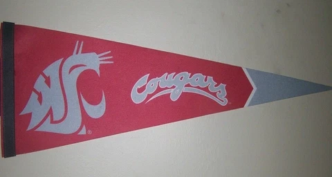 WinCraft NCAA Washington State Cougars Carded Premium Felt Pennant, 12" x 30 Cover