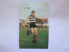 1965 MOBIL VFL FOOTY PHOTO CARD BILL GOGGIN GEELONG CATS FOOTBALL CLUB    