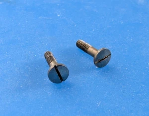 TORNILLOS DE CAJA VINTAGE PARA RELOJ BOLSILLO ELGIN TAMAÑO 12 2 PIEZAS - Imagen 1 de 1