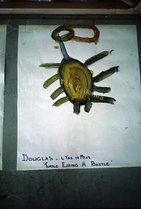 Papua New Guinea Kids Art Turtle eating Beetle 35mm ORIGINAL PNG Slide CD Photo - Picture 1 of 1
