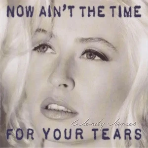 CD Wendy James Now Aint The Time For Your Tears MCA Records - Bild 1 von 1