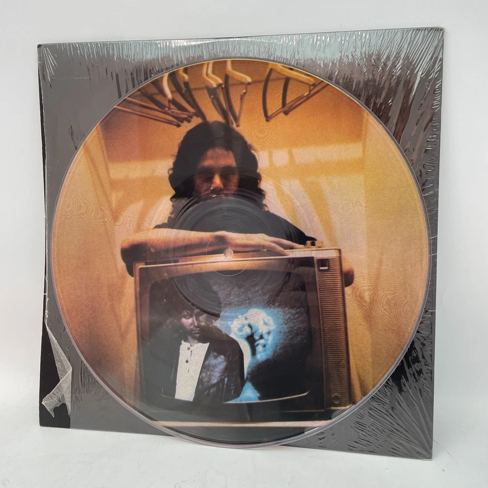 Jim Morrison ‎The End Vinyl 12" EP Interview Picture Disc US 1970s? VG+/VG+ - Image 1 of 2