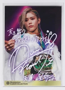 KOUKI AMAREI No.022 [not hand-painted] - Woman's Pro Wrestling MARIGOLD Card - Picture 1 of 3