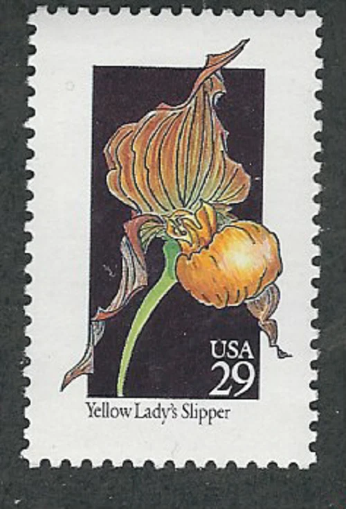 Scott #2673...29 Cent....Wild Flowers/Yellow Lady's Slipper...2 Stamps - Image 1 of 1