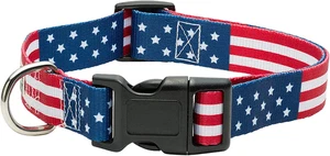Hundehalsband mit amerikanischer Flagge in 5 verschiedenen Größen klassisch (klein) - Bild 1 von 12