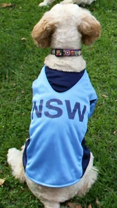 NSW Blues Rugby Dog Jersey shirt xsmall 20cm to small 25cm - new - Picture 1 of 3