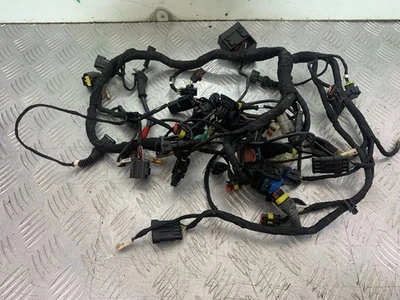 DUCATI 1198 S WIRING LOOM YEAR 2009-2011 (CMB1219) - Image 1 of 4