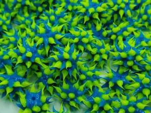 Cuentas de goma lima azul y limón de 8 mm - Juego de 10 - Imagen 1 de 4