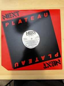 Sybil - FALLING IN LOVE - Next Plateau Records (NP-50049) 33 Vinyl 12" LP NM/NM - Picture 1 of 10