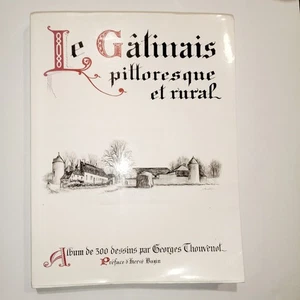 Gâtinais Pittoresque et Rural 300 Dessins Georges Thouvenot Préface Bazin 1992 - Picture 1 of 22