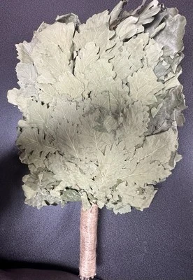 1 Oak Venik Sauna Broom Sauna Banya  КАВКАЗСКИЙ ДУБОВЫЙ ВЕНИК БАННЫЙ - Image 1 of 3