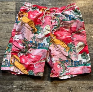 Polo Ralph Lauren Swim Trunks Shorts Boys, Size L, 14-16 Beach Miami vibes - Picture 1 of 5