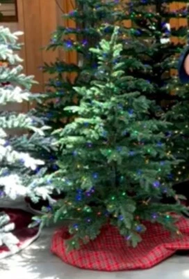 Barbara King 5' Pre-Lit Decorator Series Tree Multi - Image 1 of 2