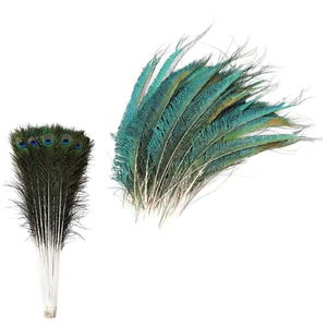 Plumas de cola de pavo real 25-30 cm espada lateral pluma artesanía sombrero decoraciones sombrero 20 un. - Imagen 1 de 12