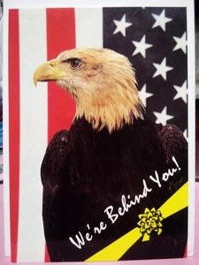 Lot 2 Postkarten USA Patriotische Flagge Weißkopfseeadler Resolve Teppichreiniger  - Bild 1 von 4