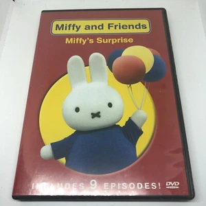 MIFFY AND FRIENDS - MIFFY'S SURPRISE (DVD) Children & Family - Free Shipping VG - Imagen 1 de 4