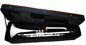 Season sale TROMBONE Bb PITCH @10% DISC. WHITE INSTRUMENT HARD CASE SALE ON,, - Picture 1 of 3