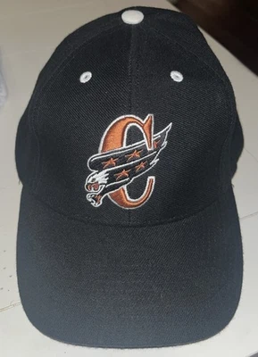 Raro Sombrero Ajustado Grande De Colección Oficial NHL Washington Capitals Screaming Eagle  Foto 1 de 4