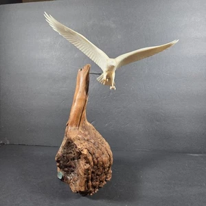 John Perry Signed Eagle Sculpture Pellucida Resin on Driftwood Burl 12" Wingspan - Picture 1 of 16