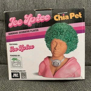 Ice Spice Chia Pet Fioriera Decorativa Fatta a Mano Nuova Rosa - Foto 1 di 2
