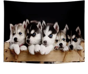 Cute Puppy Dog Animal Tapestry Wall Hanging Decor for Bedroom Living Room Dorm - Picture 1 of 7