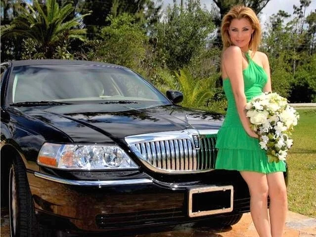 Lincoln Town Car Pull Strap 2 Door  Repair Kit (Quality is the Lowest Price) - Image 1 of 4