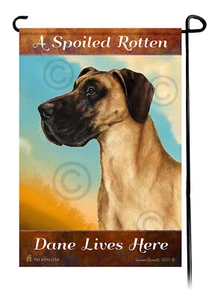 A Spoiled Potten Uncropped Fawn Dane vive aquí - Imagen 1 de 1