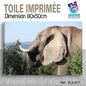 80x50cm - Stoff Bedruckte- Bild Plakat Deko -elefant Felin - EL6-01T - Bild 1 von 1