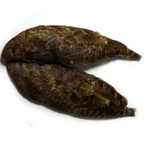 Woodcock Wings | North Country Hackles, Spider, Wings Fliegenbindematerial - Bild 1 von 1