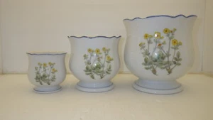 TAKAHASHI SAN FRANSISCO CACHEPOT PLANTERS IN WILD FLOWER PATTERN 3 SIZES 6,4.5,3 - Picture 1 of 6