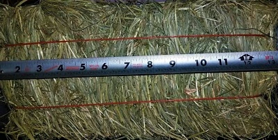 HAPPY ROCK PETS Teff Hay Mini Bales 46 oz.