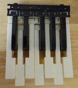 M-Audio KeyStudio 49 teclas de repuesto - Imagen 1 de 1