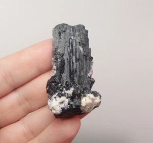 TURMALINA Negra Grandes Cristales Brillantes ----- NAMIBIA -- ERONGO Mountais /ph704 - Imagen 1 de 12
