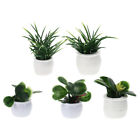 Dollhouse Miniature Plants - Realistic and Detailed for Perfect Decor