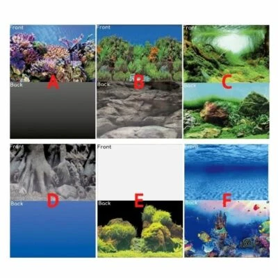 Superfish Deko Poster Aquarium doppelseitiges Bild Fischtank Hintergrund Landschaft