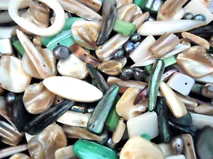 Shell/Freshwater/Mother of Pearl Beads 50g Mix DIY Jewelry Making - Picture 1 of 2