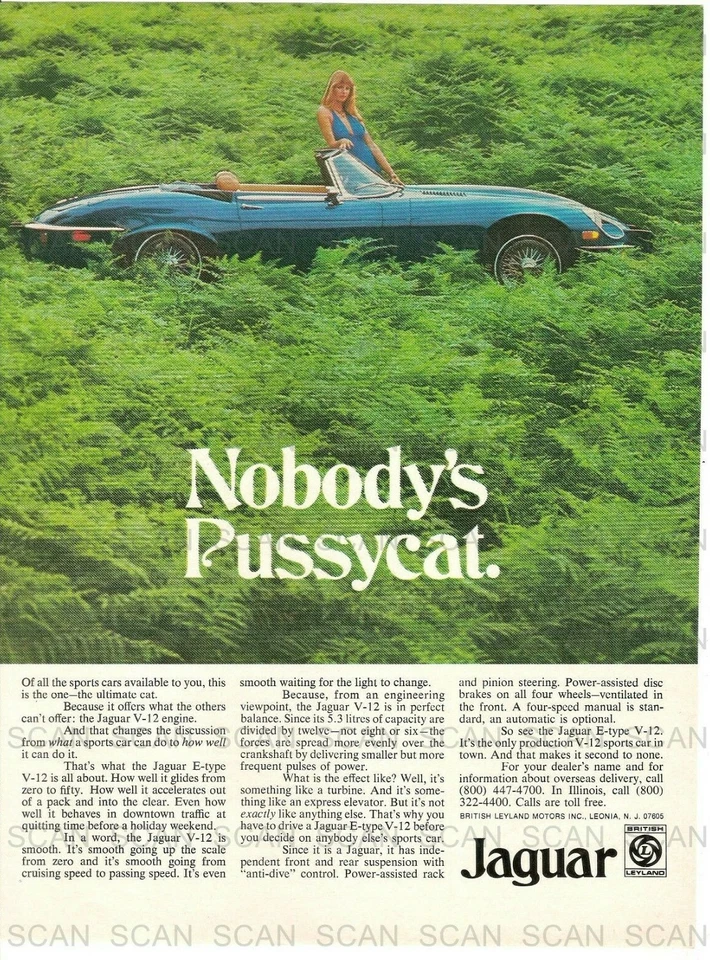 1974 Jaguar E-Type V-12 Vintage Magazine Ad  British Leyland   Nobody's Pussycat - Image 1 of 1