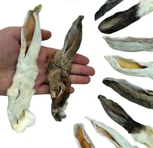 100 % natürliche luftgetrocknete behaarte Kaninchenohren Hund Kauen Hypoallergen Verdauungsmittel 200 g - Bild 1 von 7