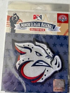 Parche Lehigh Valley IronPigs BÉISBOL DE LIGAS MENORES MiLB LICENCIA OFICIAL - Imagen 1 de 1